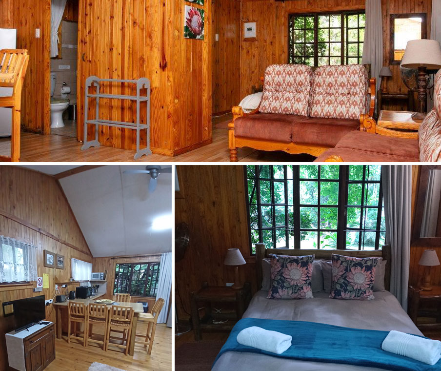 Cabin Five