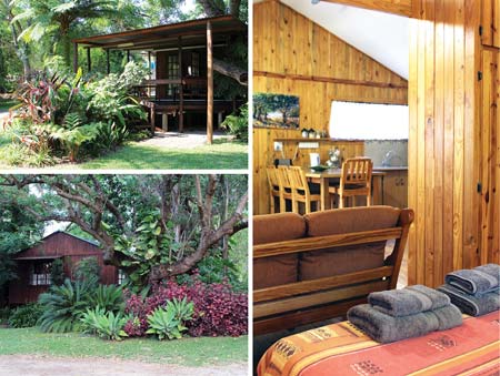 Nelspruit Accommodation Crocodile Nest B&B - Cabin 5